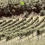 ホテル Tenuta Fortunato Colobraro